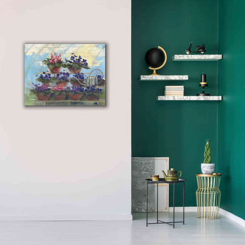 Image of 'Violets' by Carol Rowan, Giclee Canvas Wall Art,34x26