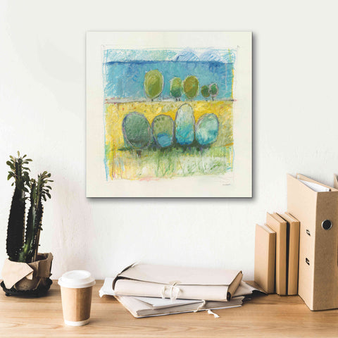 Image of 'Morning Grove' by Mike Schick, Giclee Canvas Wall Art,18x18
