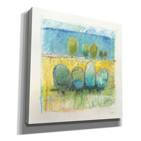 Image of 'Morning Grove' by Mike Schick, Giclee Canvas Wall Art