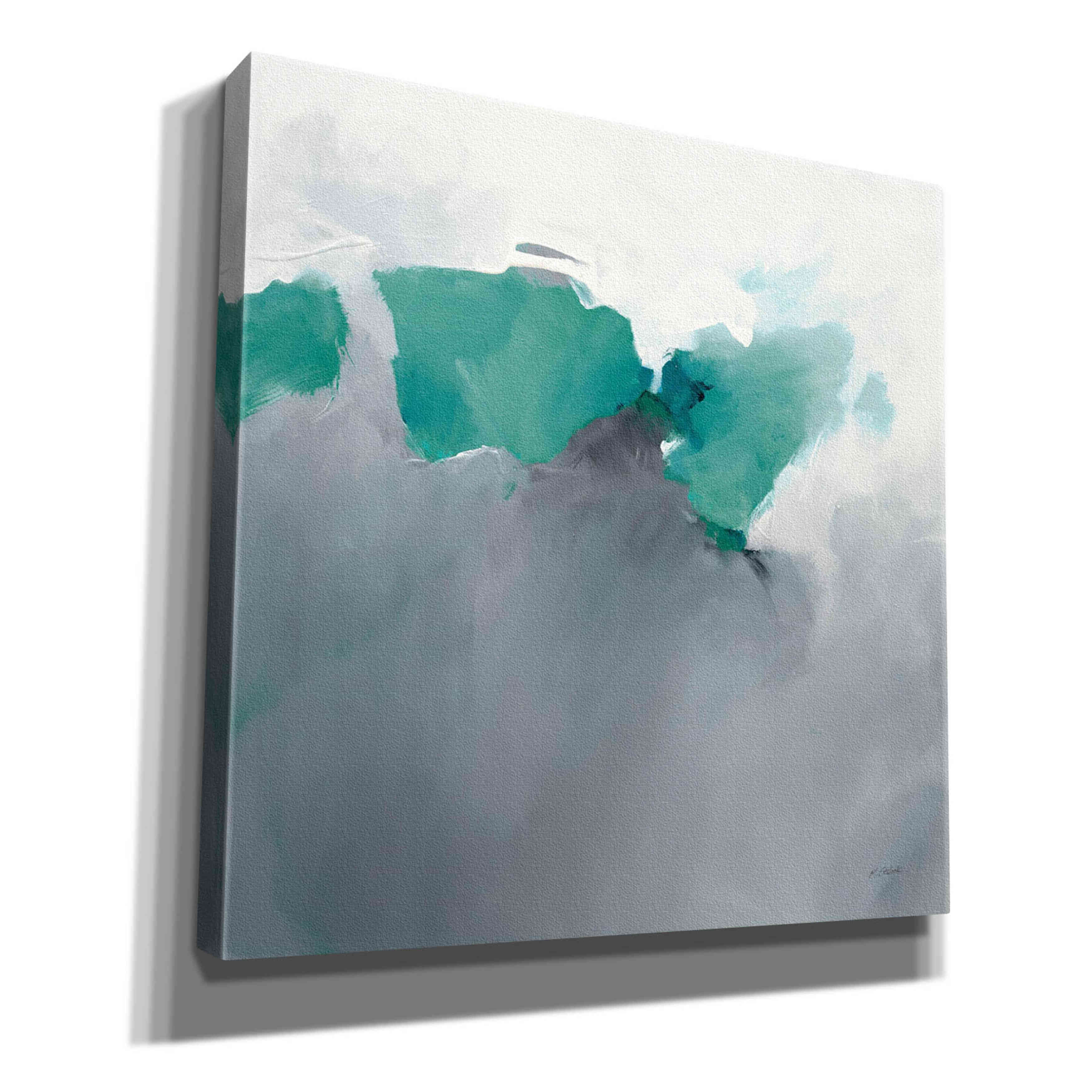 'Dark To Light Peacock' by Mike Schick, Giclee Canvas Wall Art