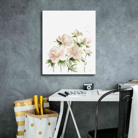Image of 'Peonies I' by Katrina Pete, Giclee Canvas Wall Art,20x24