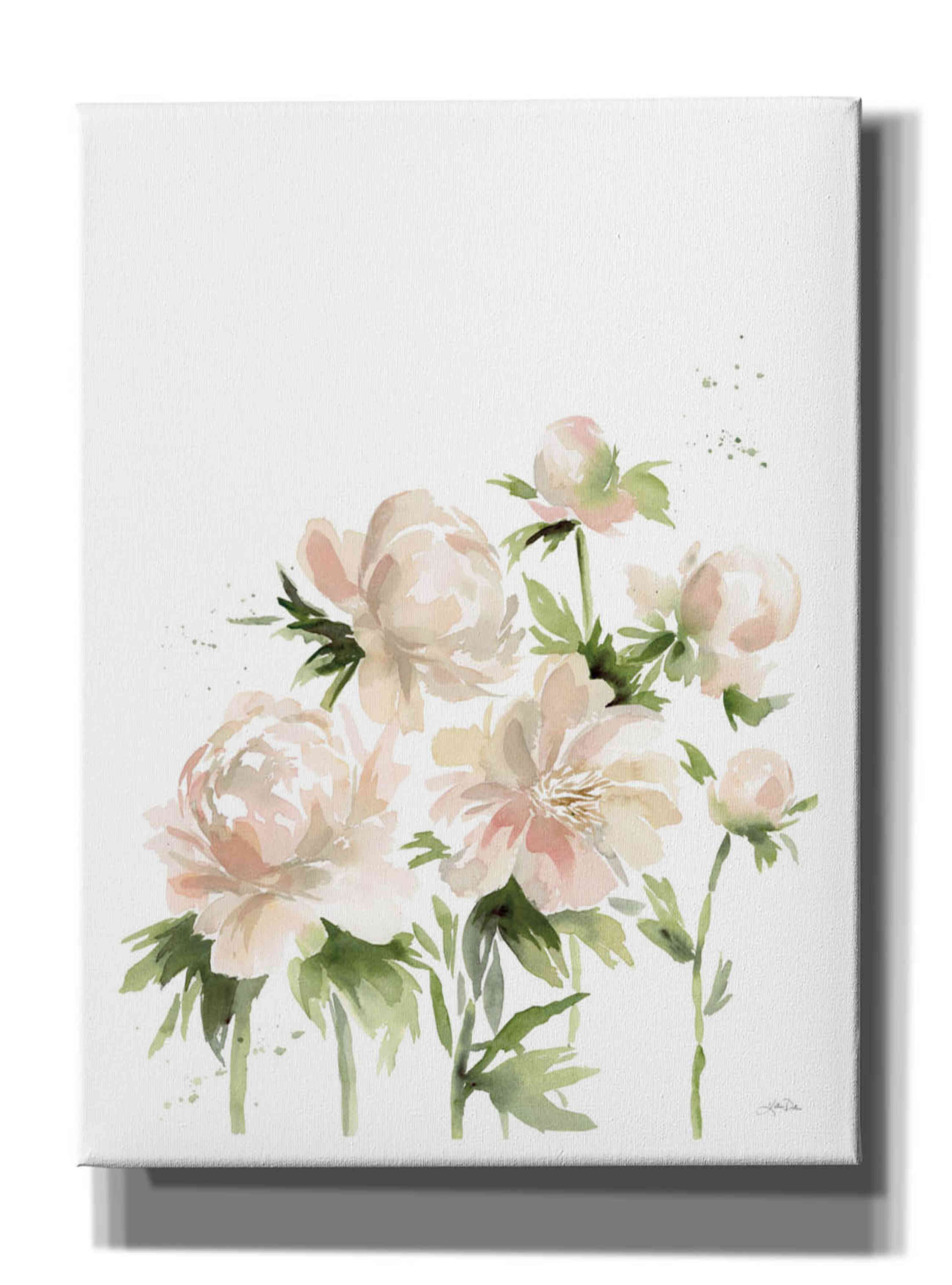 'Peonies I' by Katrina Pete, Giclee Canvas Wall Art
