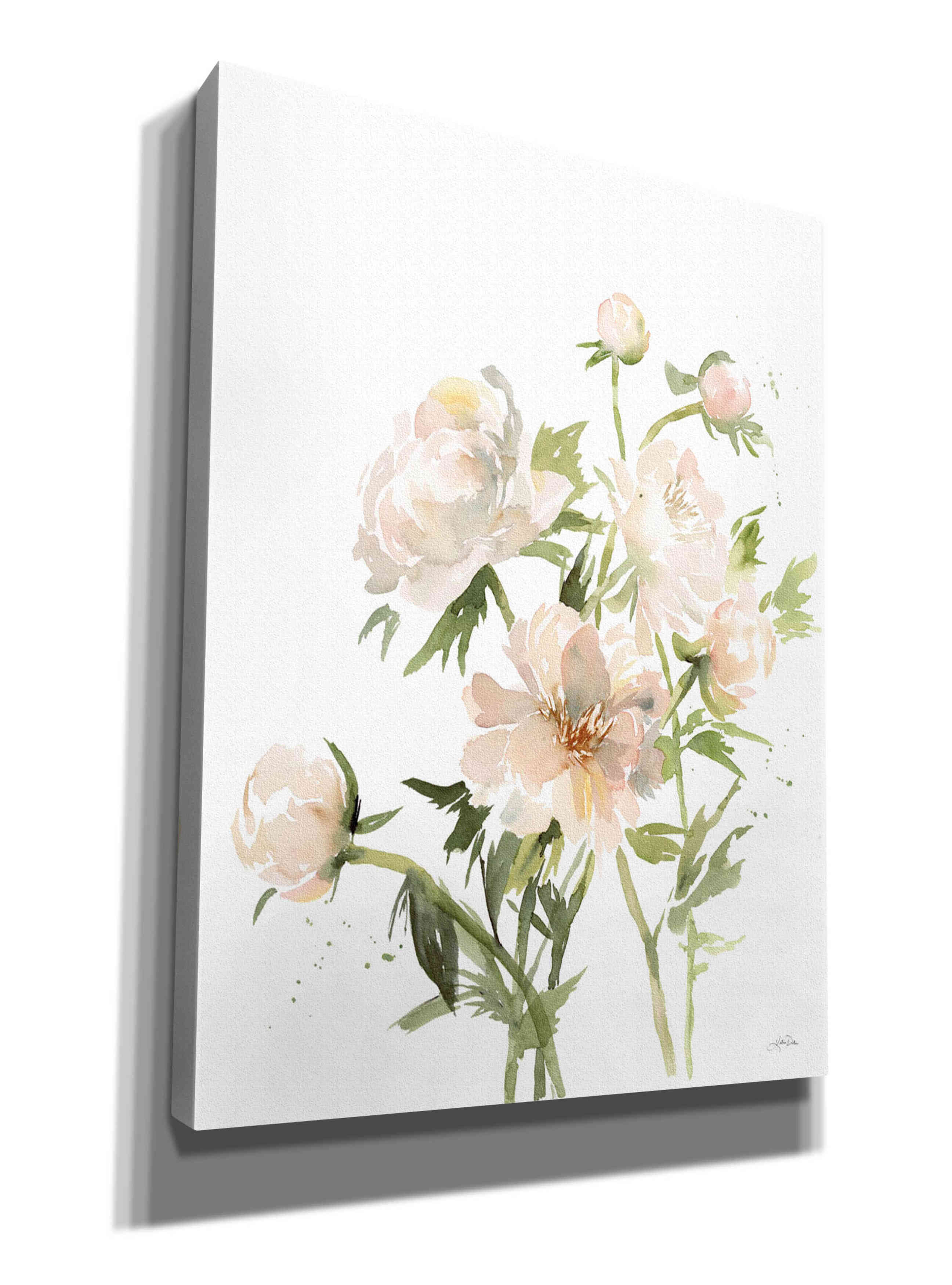 'Peonies II' by Katrina Pete, Giclee Canvas Wall Art