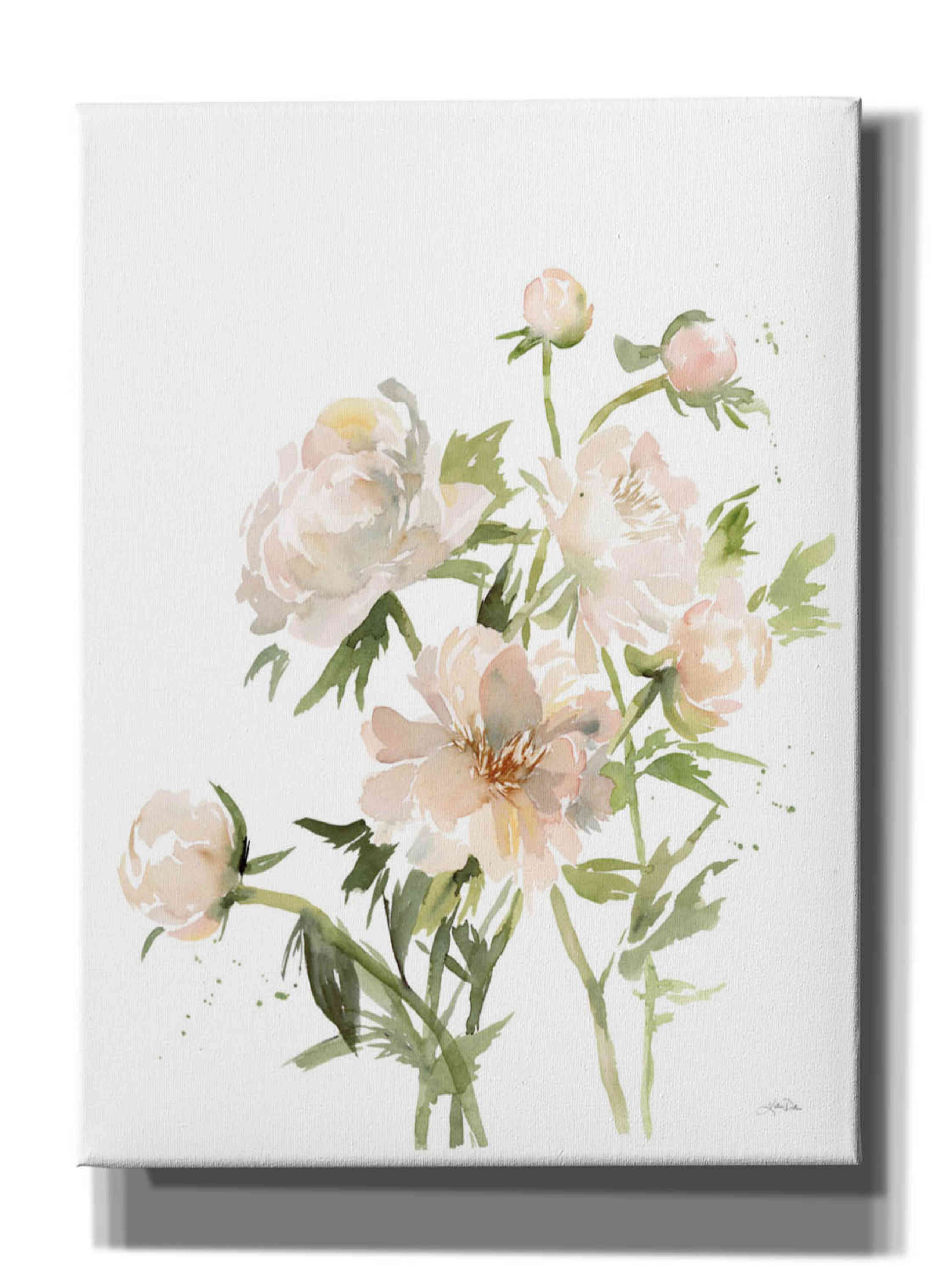'Peonies II' by Katrina Pete, Giclee Canvas Wall Art