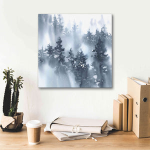 'Misty Forest I' by Katrina Pete, Giclee Canvas Wall Art,18x18