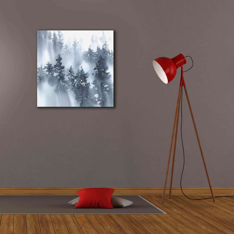 Image of 'Misty Forest I' by Katrina Pete, Giclee Canvas Wall Art,26x26