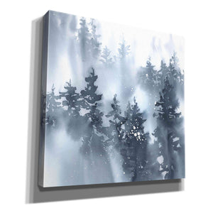 'Misty Forest I' by Katrina Pete, Giclee Canvas Wall Art