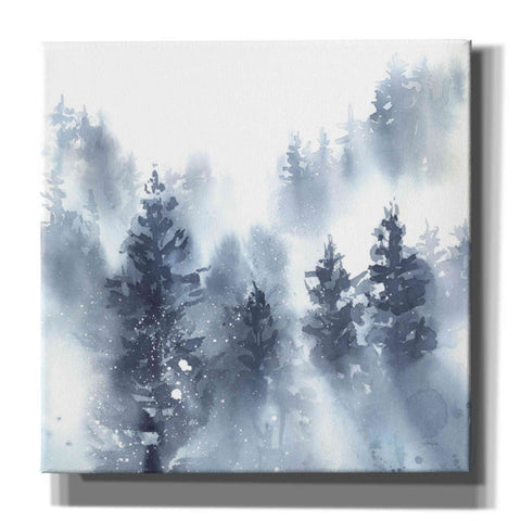 Image of 'Misty Forest II' by Katrina Pete, Giclee Canvas Wall Art