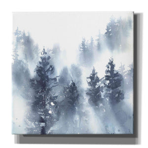 'Misty Forest II' by Katrina Pete, Giclee Canvas Wall Art