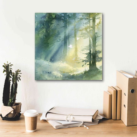 Image of 'Shady Grove' by Katrina Pete, Giclee Canvas Wall Art,18x18