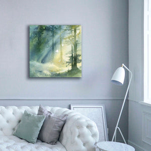 'Shady Grove' by Katrina Pete, Giclee Canvas Wall Art,37x37