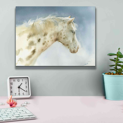 Image of 'Dapple Gray Horse' by Katrina Pete, Giclee Canvas Wall Art,16x12