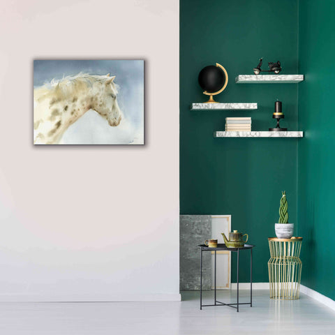 Image of 'Dapple Gray Horse' by Katrina Pete, Giclee Canvas Wall Art,34x26