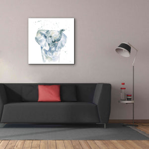 'Baby Elephant' by Katrina Pete, Giclee Canvas Wall Art,37x37
