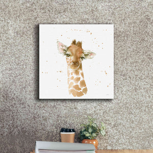'Baby Giraffe' by Katrina Pete, Giclee Canvas Wall Art,18x18