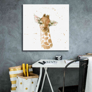 'Baby Giraffe' by Katrina Pete, Giclee Canvas Wall Art,26x26