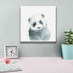 'Panda Cub' by Katrina Pete, Giclee Canvas Wall Art,12x12