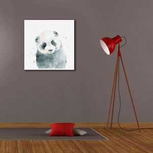'Panda Cub' by Katrina Pete, Giclee Canvas Wall Art,26x26