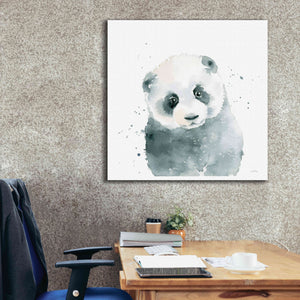 'Panda Cub' by Katrina Pete, Giclee Canvas Wall Art,37x37