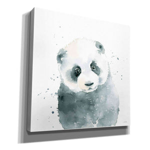'Panda Cub' by Katrina Pete, Giclee Canvas Wall Art