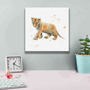 'Tiger Cub' by Katrina Pete, Giclee Canvas Wall Art,12x12
