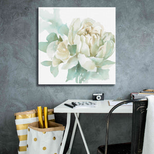 'Poetic Blooming I' by Katrina Pete, Giclee Canvas Wall Art,26x26