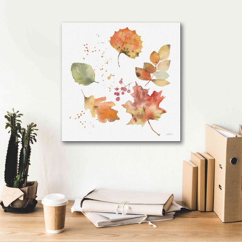 Image of 'Falling Leaves I' by Katrina Pete, Giclee Canvas Wall Art,18x18