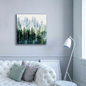 'Evening Treeline Sq' by Katrina Pete, Giclee Canvas Wall Art,37x37