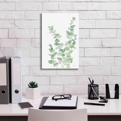 Image of 'Eucalyptus II' by Katrina Pete, Giclee Canvas Wall Art,12x18