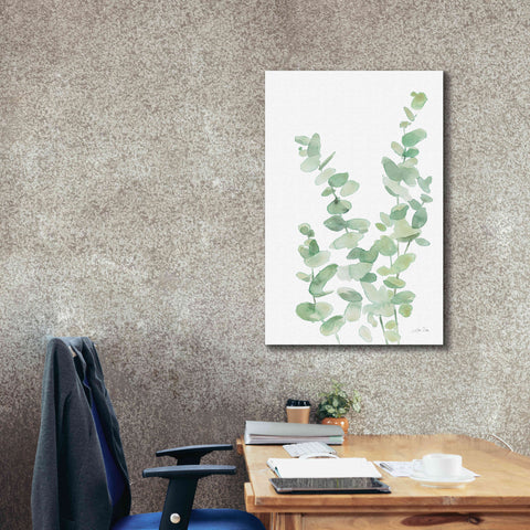 Image of 'Eucalyptus II' by Katrina Pete, Giclee Canvas Wall Art,26x40