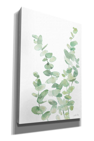 Image of 'Eucalyptus II' by Katrina Pete, Giclee Canvas Wall Art