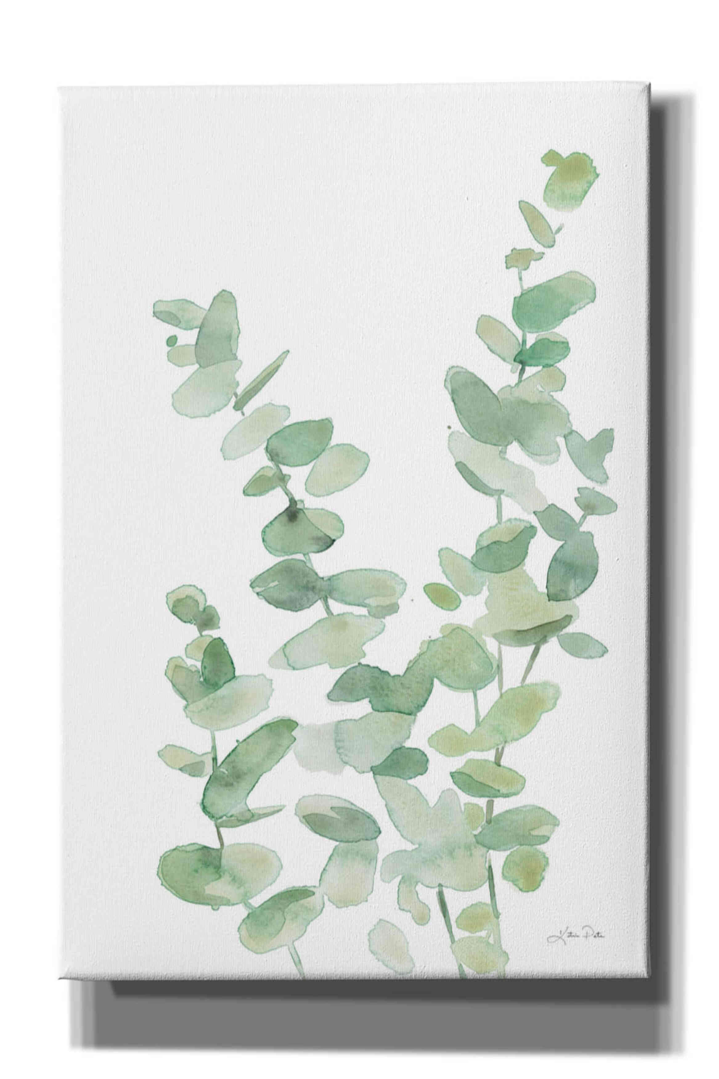 'Eucalyptus II' by Katrina Pete, Giclee Canvas Wall Art