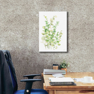 'Eucalyptus III' by Katrina Pete, Giclee Canvas Wall Art,18x26