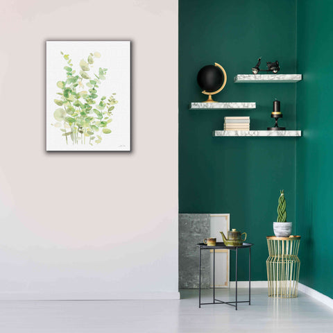 Image of 'Eucalyptus III' by Katrina Pete, Giclee Canvas Wall Art,26x34