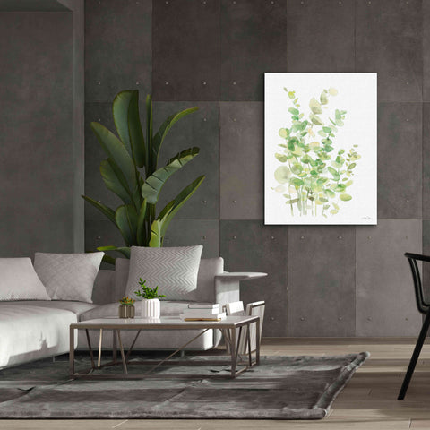 Image of 'Eucalyptus III' by Katrina Pete, Giclee Canvas Wall Art,40x54