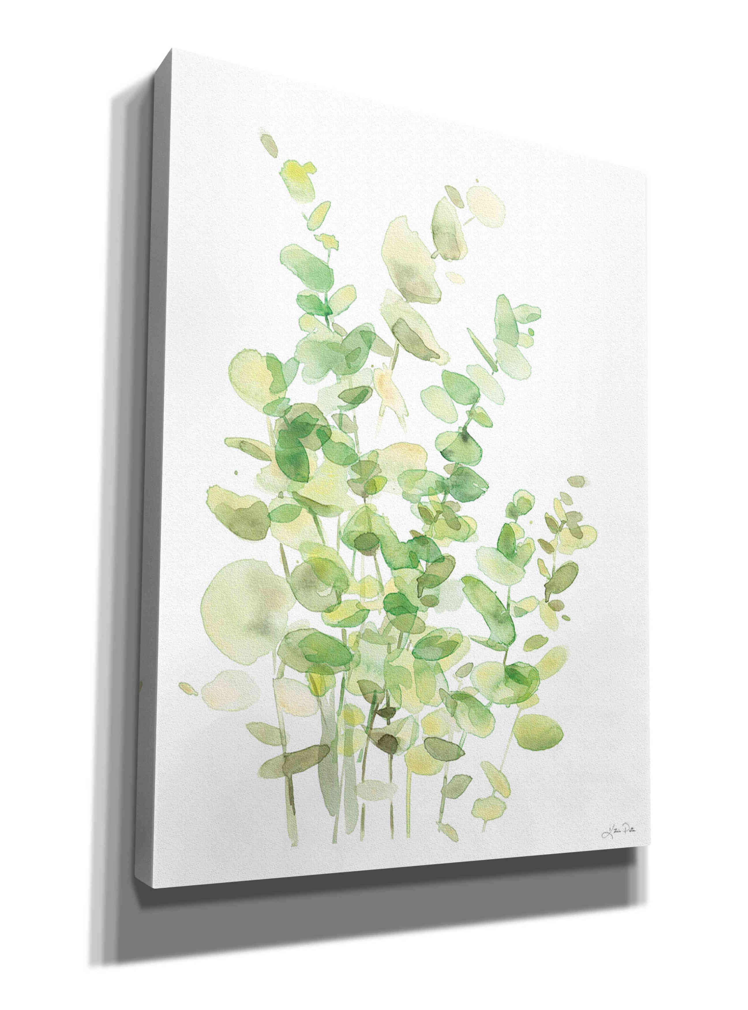 'Eucalyptus III' by Katrina Pete, Giclee Canvas Wall Art