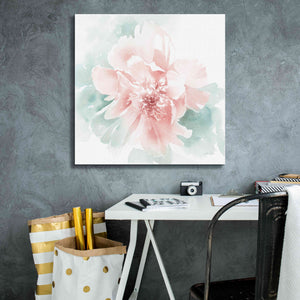'Poetic Blooming II Pink' by Katrina Pete, Giclee Canvas Wall Art,26x26