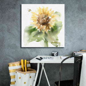 'Sunflower Meadow III' by Katrina Pete, Giclee Canvas Wall Art,26x26