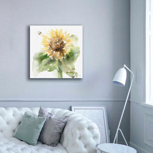 'Sunflower Meadow III' by Katrina Pete, Giclee Canvas Wall Art,37x37