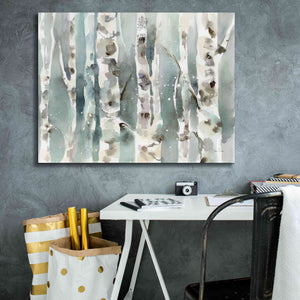 'Winter Birches' by Katrina Pete, Giclee Canvas Wall Art,34x26