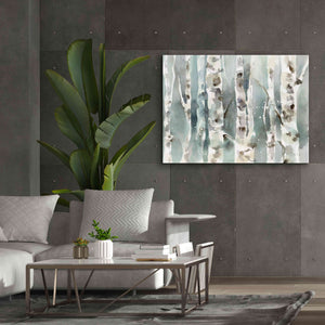 'Winter Birches' by Katrina Pete, Giclee Canvas Wall Art,54x40