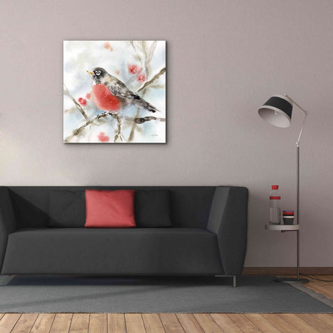 Image of 'Winter Robin' by Katrina Pete, Giclee Canvas Wall Art,37x37