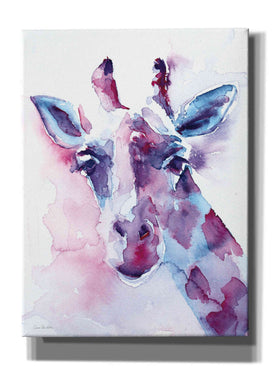 'Sweet Pea' by Alan Majchrowicz, Giclee Canvas Wall Art