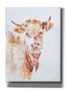 'Village Cow' by Alan Majchrowicz, Giclee Canvas Wall Art