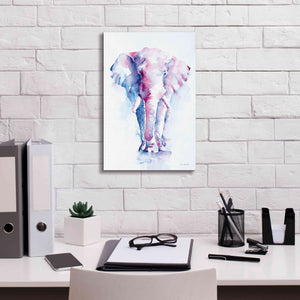 'An Elephant Never Forgets' by Alan Majchrowicz, Giclee Canvas Wall Art,12x18