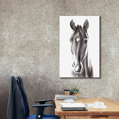 Image of 'Le Cheval Noir' by Alan Majchrowicz, Giclee Canvas Wall Art,26x40