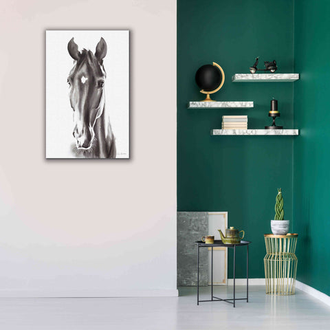 Image of 'Le Cheval Noir' by Alan Majchrowicz, Giclee Canvas Wall Art,26x40