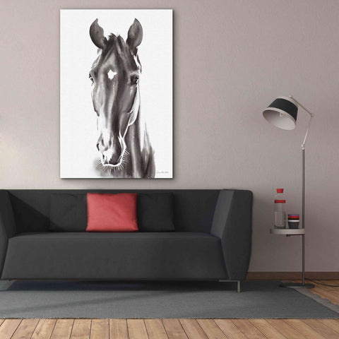 Image of 'Le Cheval Noir' by Alan Majchrowicz, Giclee Canvas Wall Art,40x60