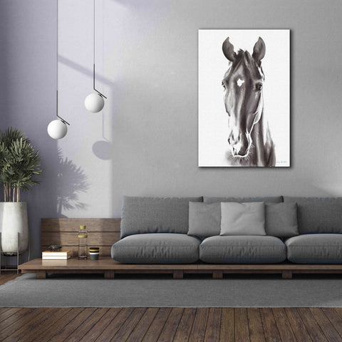 Image of 'Le Cheval Noir' by Alan Majchrowicz, Giclee Canvas Wall Art,40x60