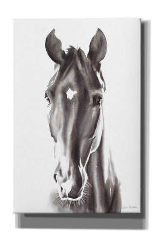 Image of 'Le Cheval Noir' by Alan Majchrowicz, Giclee Canvas Wall Art